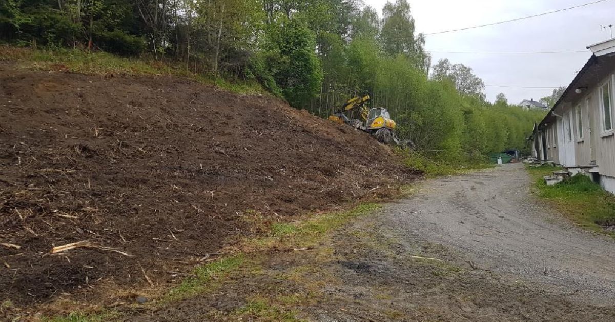 Flishogging i bakke ved eiendom