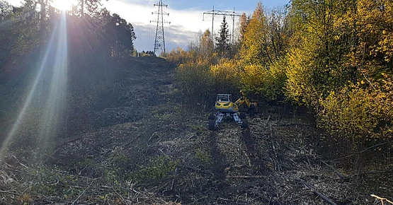 Menzi muck maskin rydder kratt under strømlinjer i skogsbakke