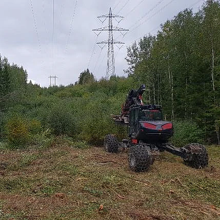 Menzi Muck maskin rydder skog